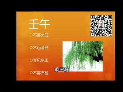 楊柳木命意思